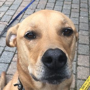 Meet your Posher, Layla